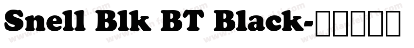 Snell Blk BT Black字体转换